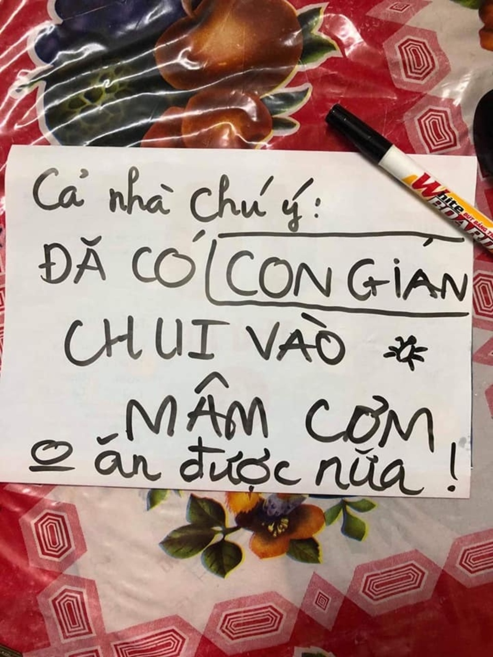 Sợ hãi tột độ trước sự hiện diện của loài gián khắp mặt trận ăn uống - Ảnh 10.