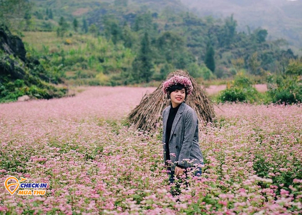 Mùa hoa tháng 10 dọc miền đất nước: Tây Bắc có 1 loại hoa cực lạ không phải ai cũng biết - Ảnh 3.