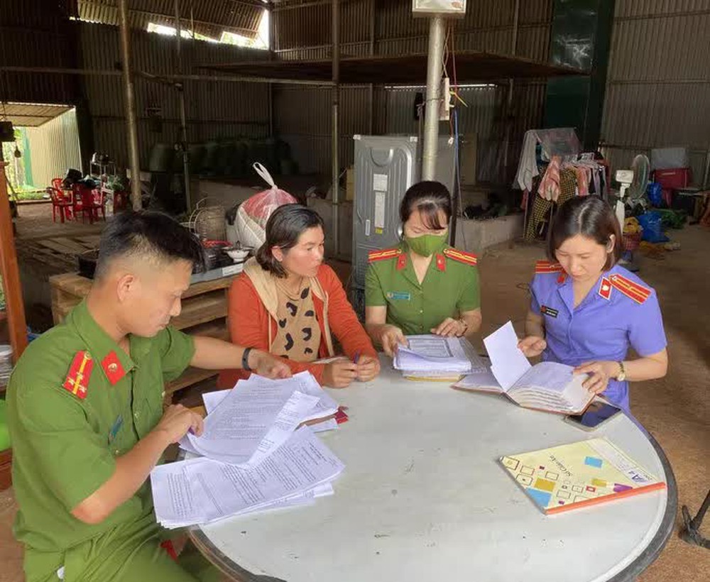 Bắt tạm giam nữ giám đốc công ty nông sản