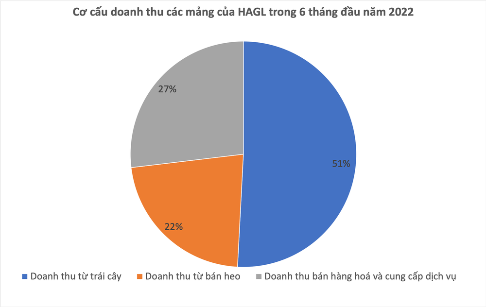  Quả chuối, con heo có thực sự đang giúp bầu Đức cứu HAGL thoát lỗ?  - Ảnh 1.