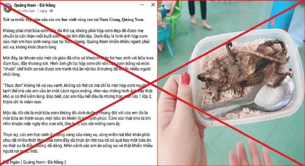 Quảng Nam làm việc với chủ fanpage đăng tin học sinh ăn cơm với thịt chuột - Ảnh 1.