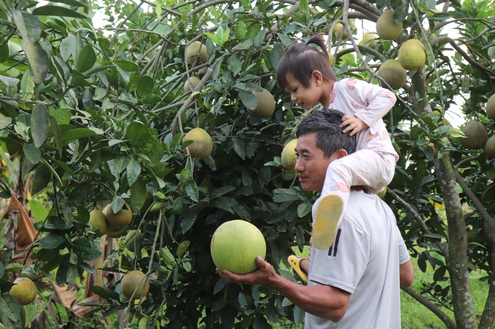 Về quê ‘ôm’ 10 ha đất, thanh niên 9x trồng đủ thứ cây, cho doanh thu hơn 1 tỷ đồng - Ảnh 6.