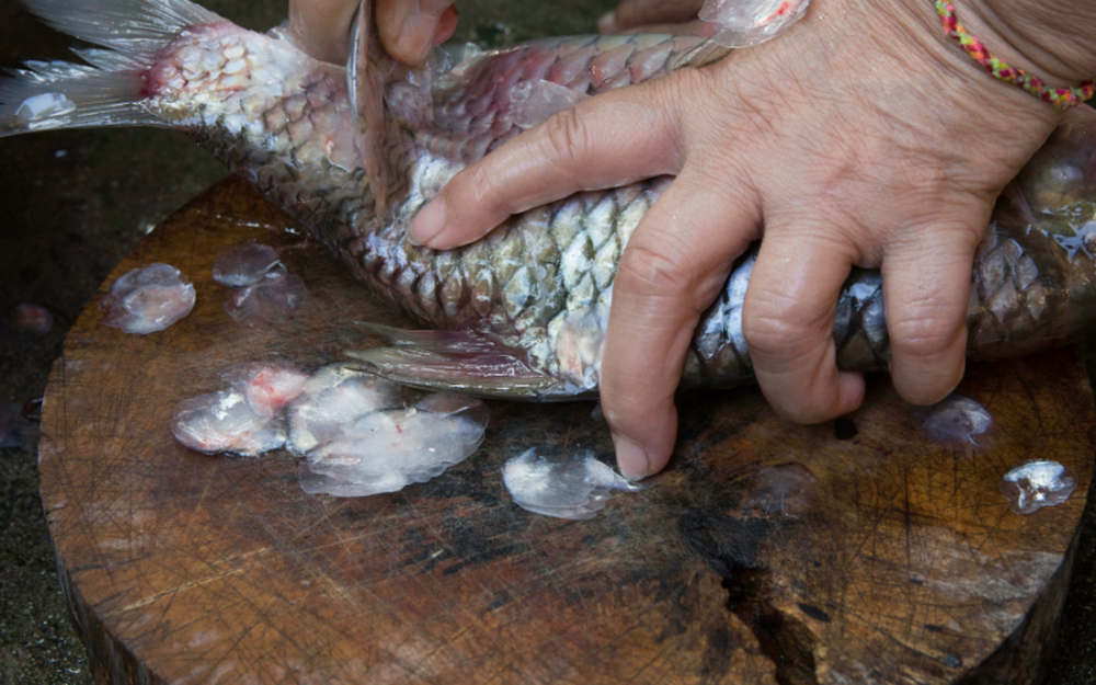 5 bí quyết rán cá để có lớp da giòn ngon, không bị vỡ nát hay dính chảo - Ảnh 1.