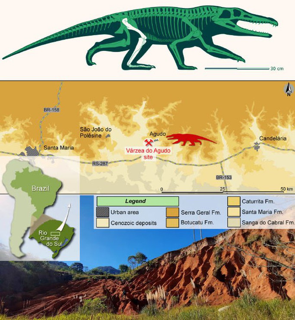 Lộ diện loài quái thú mới: Đầu cá sấu, chân như người, mình khủng long - Ảnh 1. Lộ diện loài quái thú mới: Đầu cá sấu, chân như người, mình khủng long - Ảnh 1.