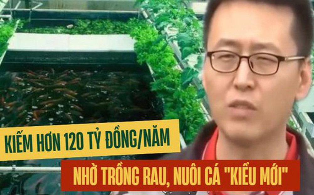 Tạo ra mô hình "nuôi cá không cần thay nước, trồng rau không cần bón phân", người đàn ông kiếm hơn 120 tỷ đồng/năm