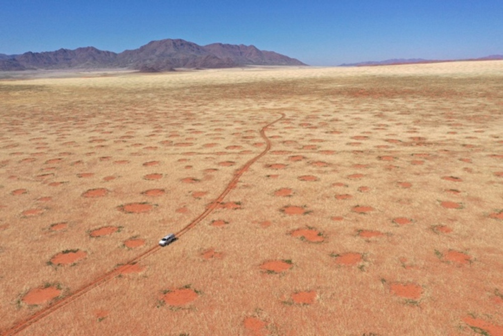 Lời đáp về vòng tròn bí ẩn ở hoang mạc khiến các nhà khoa học đau đầu 50 năm qua - Ảnh 1.