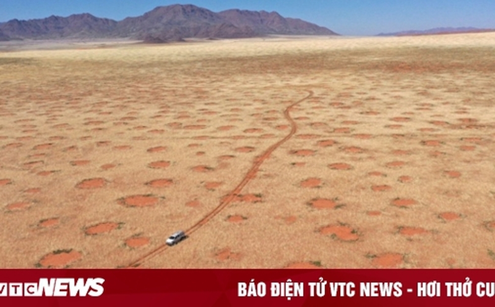 Lời đáp về vòng tròn bí ẩn ở hoang mạc khiến các nhà khoa học đau đầu 50 năm qua