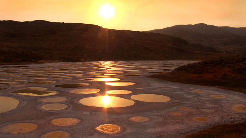 Tại sao hồ Polka Dot của Canada có thể là một hồ bơi có khả năng chữa bệnh? - Ảnh 3.