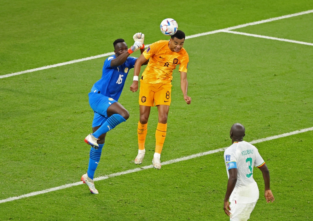 TRỰC TIẾP Senegal 0 - 1 Hà Lan: Điểm khác biệt - Ảnh 1.