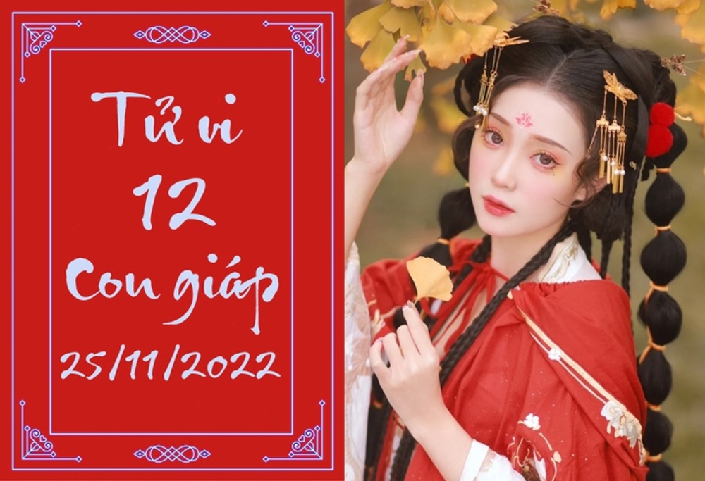 Tử vi vui 12 con giáp hôm nay thứ Sáu 25/11: Tý gặp sóng gió, Ngọ thu lợi - Ảnh 1.