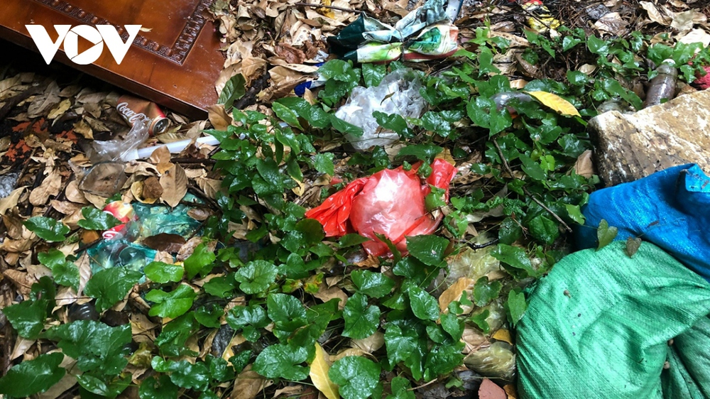 Cận cảnh biệt thự cựu Chủ tịch Hà Nội từng ở bị bỏ hoang lãng phí, ngập rác thải - Ảnh 13.