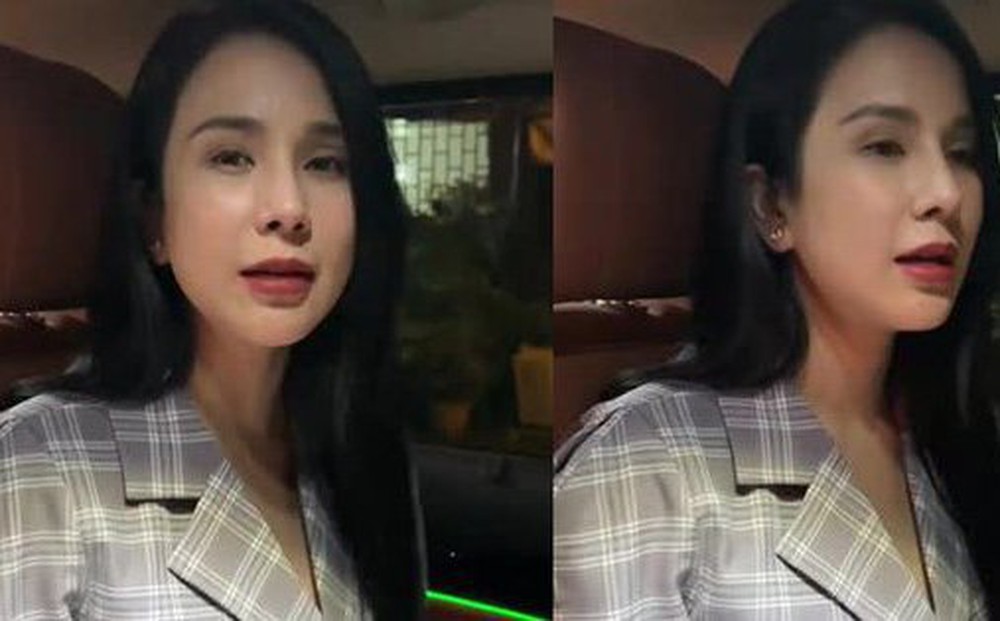 Diệp Lâm Anh: Bị đuổi khỏi công ty, đóng cửa quán lounge và phải bán đồ để lo cho con