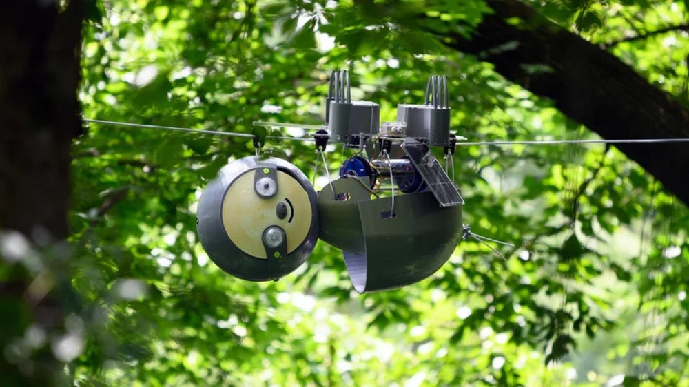 Robot “con lười” rất chậm chạp nhưng lại giúp bảo tồn hệ sinh thái - Ảnh 1.