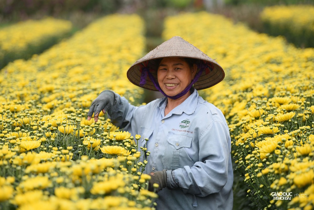 Thủ phủ hoa Mê Linh rực rỡ khoe sắc trước thềm Festival hoa lần đầu tiên - Ảnh 25.