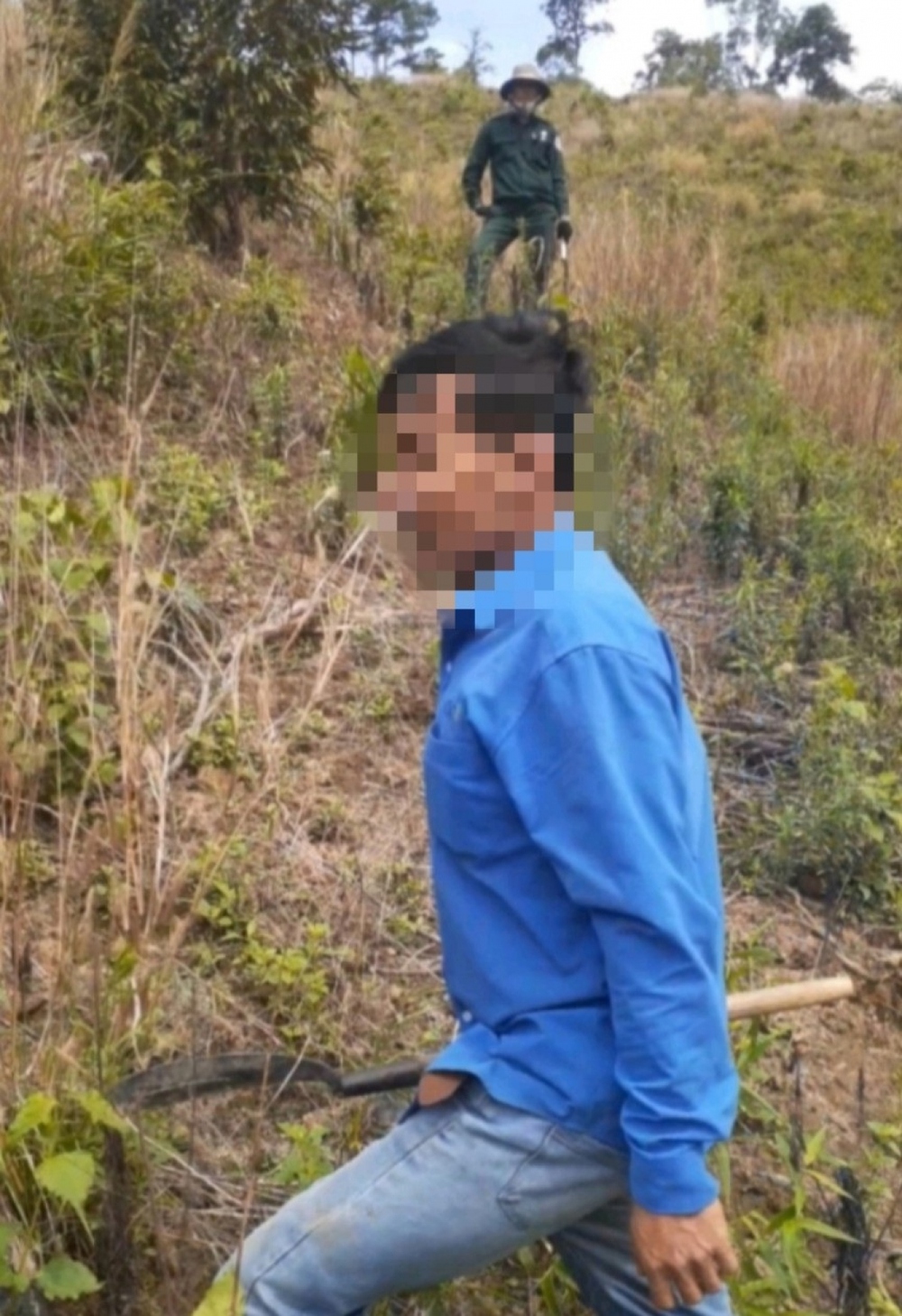 Vì sao cả trăm nhân viên bảo vệ rừng ở Bình Thuận nghỉ việc? - Ảnh 2.
