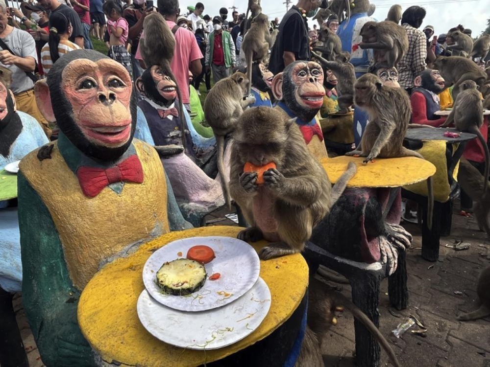 Người Thái Lan tổ chức tiệc tri ân cho gần 4.000 con khỉ - Ảnh 3.