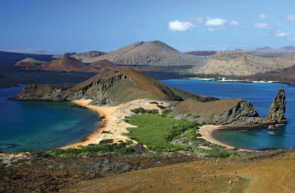 Vũ khí bí mật giúp Galápagos chống biến đổi khí hậu - Ảnh 1.