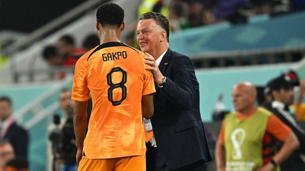 Cody Gakpo: Ngôi sao World Cup khiến Man Utd thèm khát - Ảnh 2.