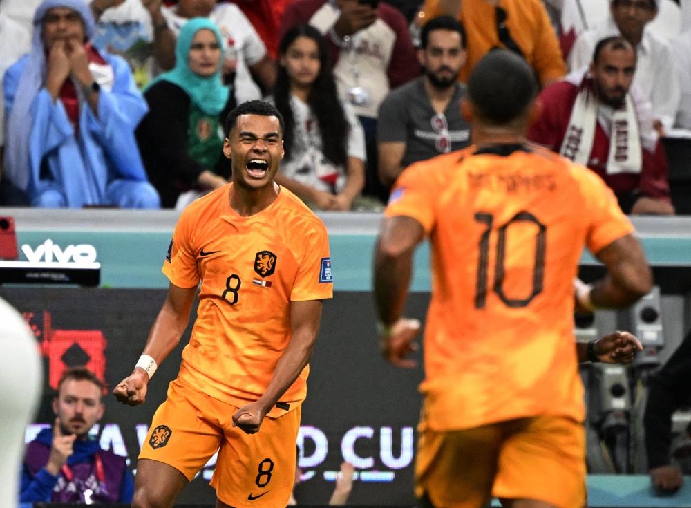 Thắng dễ Qatar, Hà Lan vào vòng 1/8 World Cup 2022 với ngôi nhất bảng A - Ảnh 1.