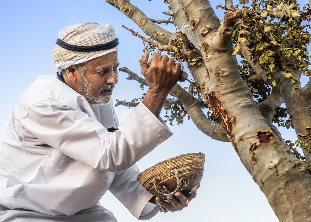 Đất nước Oman: Viên đá quý của Ả Rập với những điều độc đáo thu hút du khách - Ảnh 6.