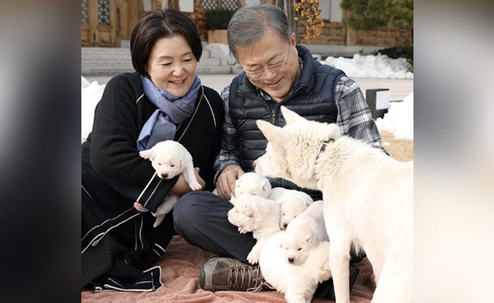 Cựu tổng thống Hàn Quốc muốn trả lại chó do ông Kim Jong-un tặng - Ảnh 1.
