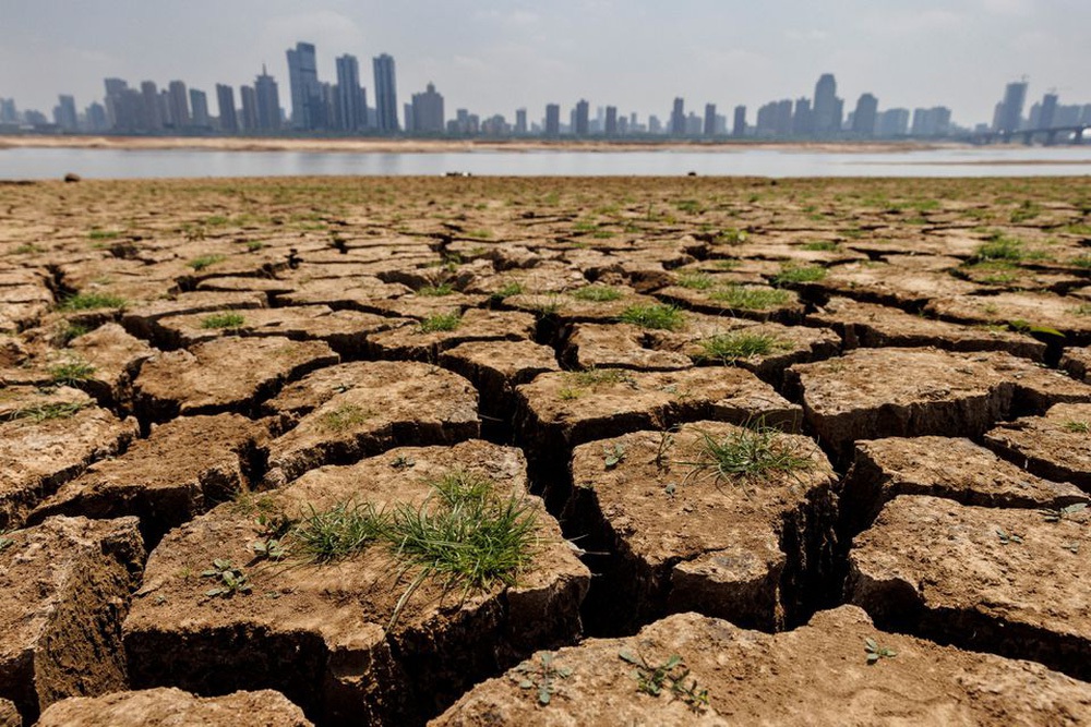 Hội nghị COP27: Sự chờ đợi của các nạn nhân biến đổi khí hậu - Ảnh 1.