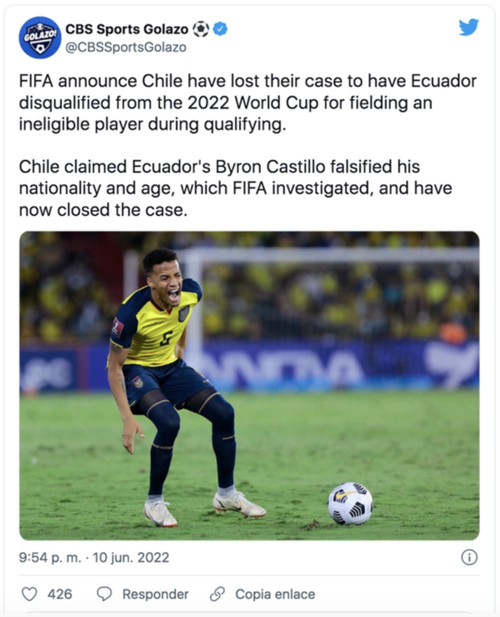Ecuador vẫn dự World Cup 2022 sau khiếu nại gian lận cầu thủ - Ảnh 5.
