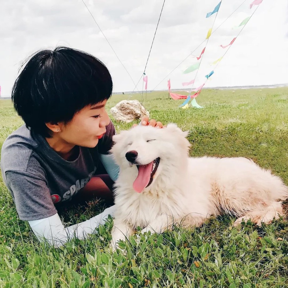 Người phụ nữ làm nghề trợ tử cho thú cưng: Tiễn đưa hàng nghìn sinh linh nhỏ bé, chứng kiến cái thiện và ác của con người - Ảnh 7.