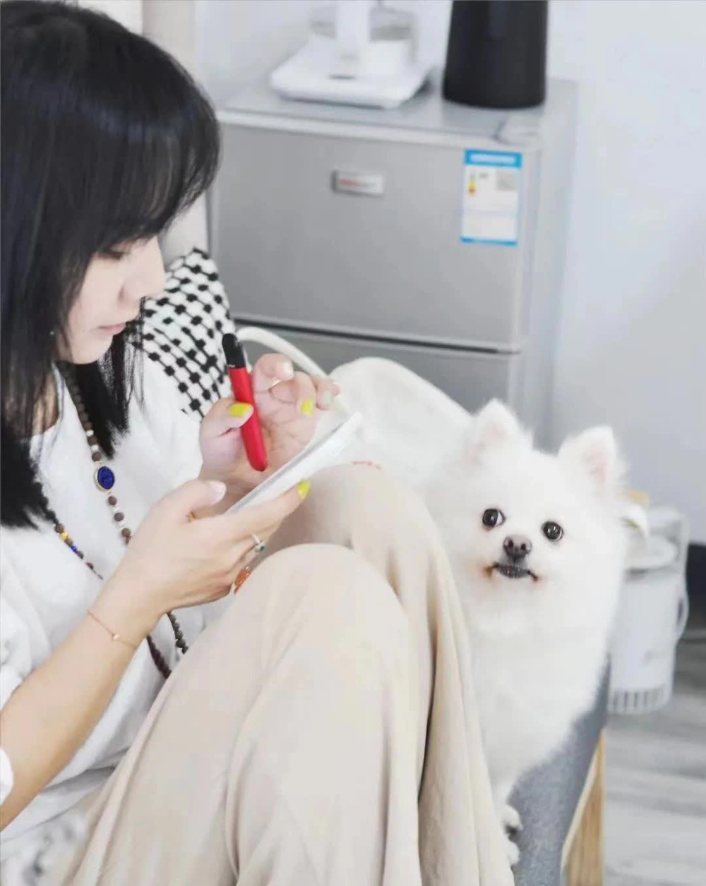 Người phụ nữ làm nghề trợ tử cho thú cưng: Tiễn đưa hàng nghìn sinh linh nhỏ bé, chứng kiến cái thiện và ác của con người - Ảnh 1. Người phụ nữ làm nghề trợ tử cho thú cưng: Tiễn đưa hàng nghìn sinh linh nhỏ bé, chứng kiến cái thiện và ác của con người - Ảnh 1.