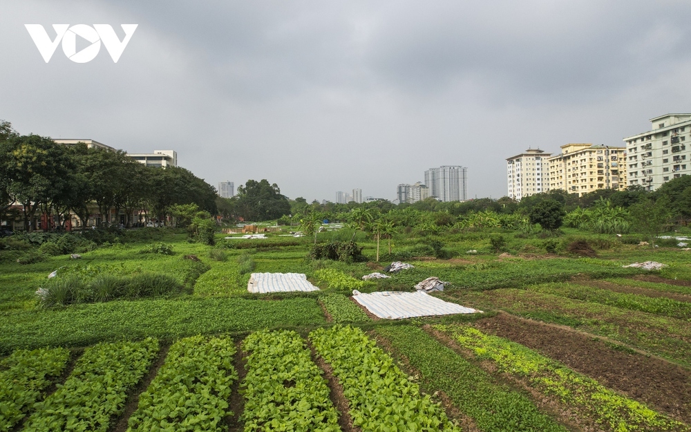 Cận cảnh dự án nghìn tỷ bỏ hoang được người dân tận dụng trồng rau và đổ rác thải - Ảnh 3.