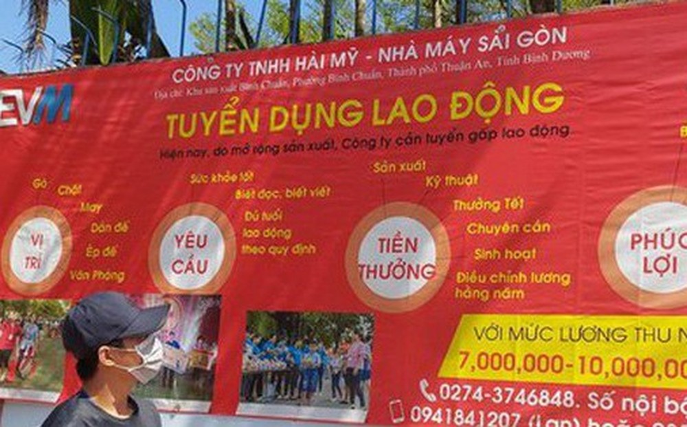 Ráo riết tuyển lao động thời vụ
