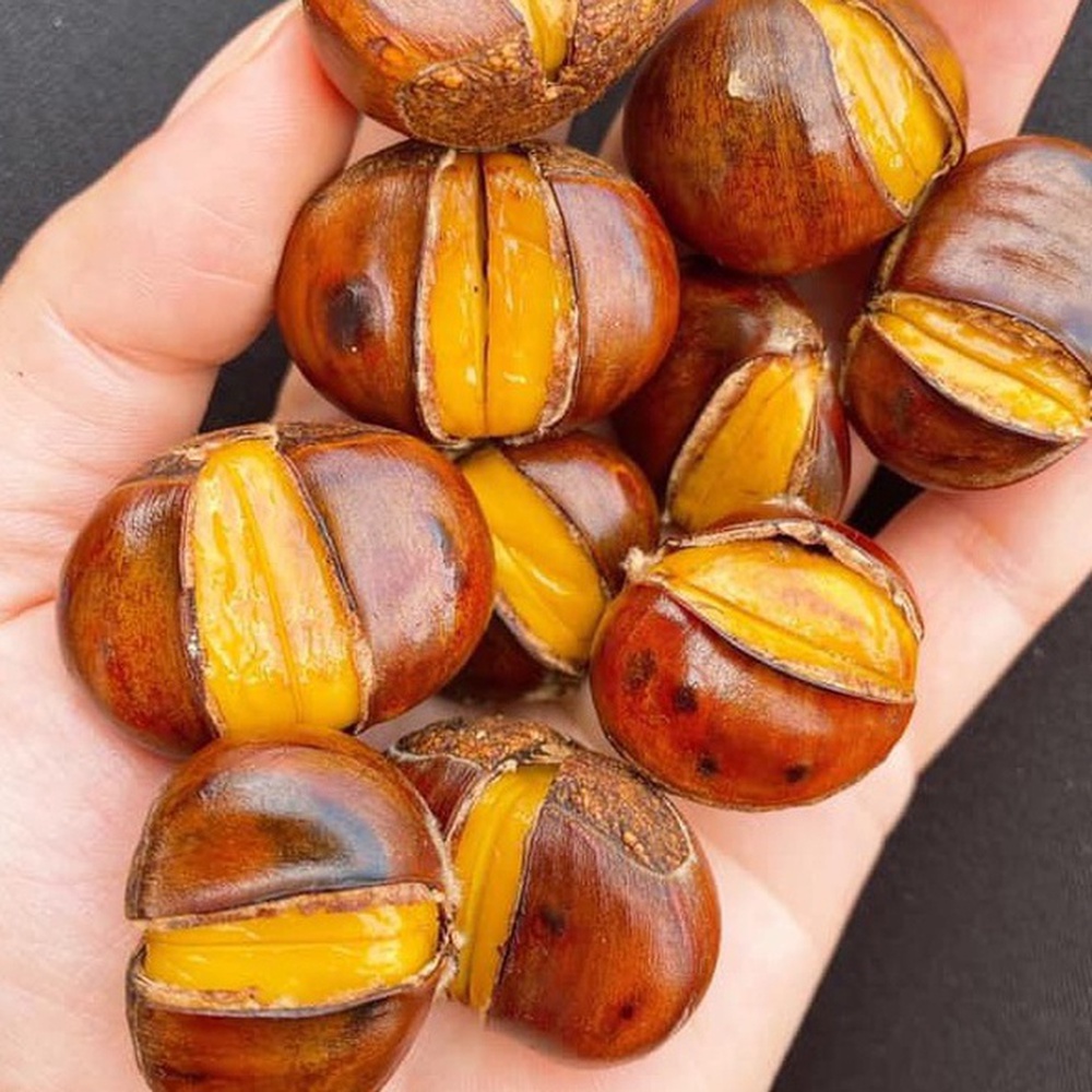 Không chỉ có ngô khoai nướng, những món mùa đông này cũng khiến các tín đồ ẩm thực Hà thành mê mẩn
