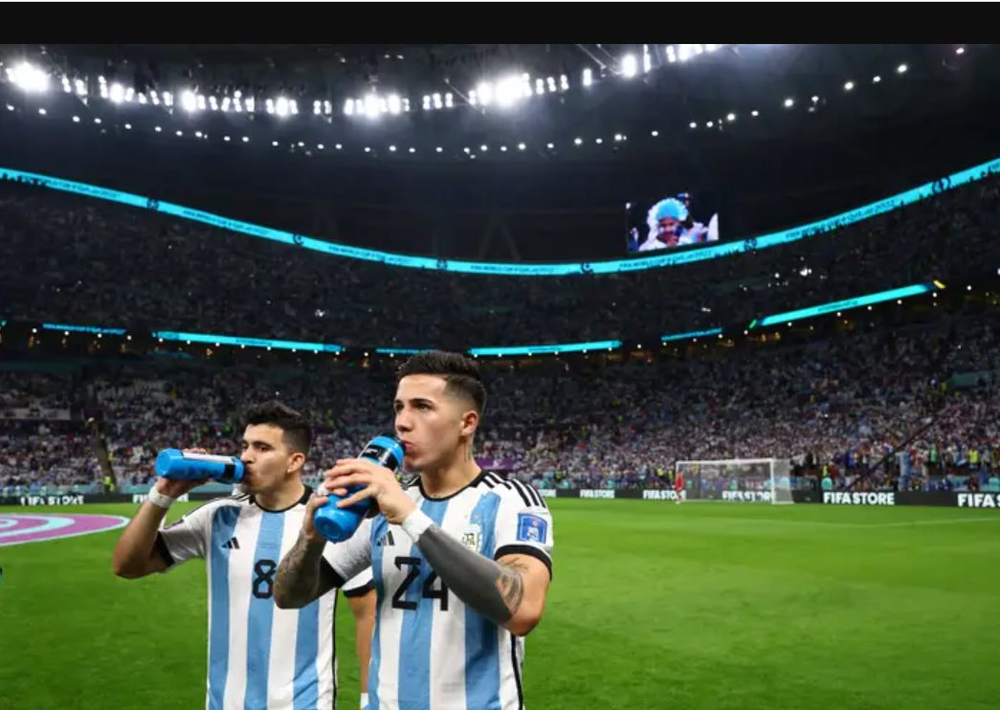 Loại trà mà đội tuyển Argentina mang tới World Cup 2022 tận 500 kg, tiếp sức nghìn máu cho Messi có gì đặc biệt? - Ảnh 3.