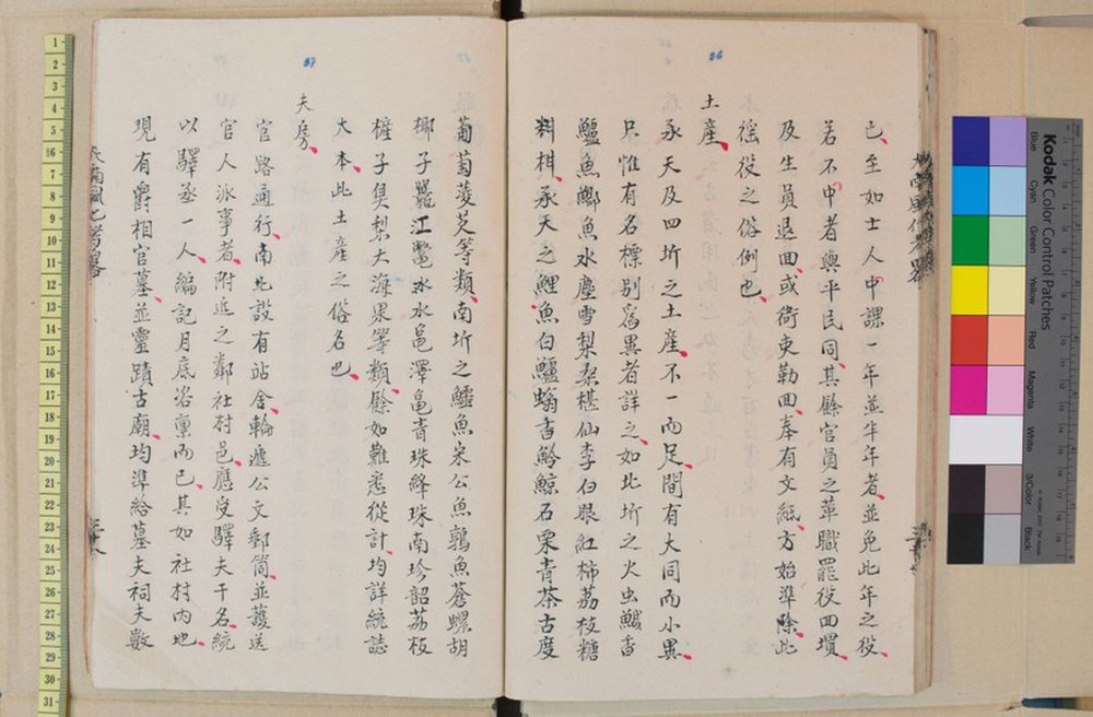 Thách thức bảo tồn sách cổ ở Viện Nghiên cứu Hán Nôm - Ảnh 4.