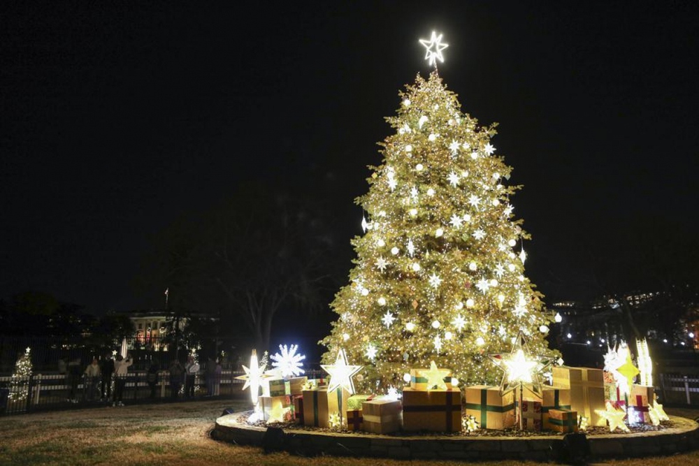 Chiêm ngưỡng những cây thông Noel độc đáo và hoành tráng trên thế giới - Ảnh 4.