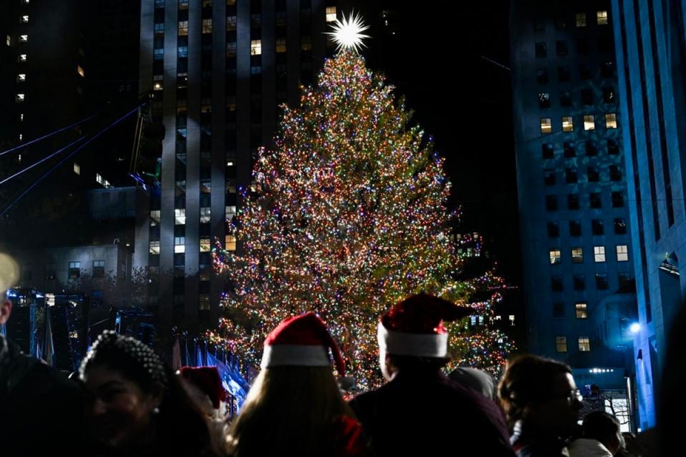 Chiêm ngưỡng những cây thông Noel độc đáo và hoành tráng trên thế giới - Ảnh 2.