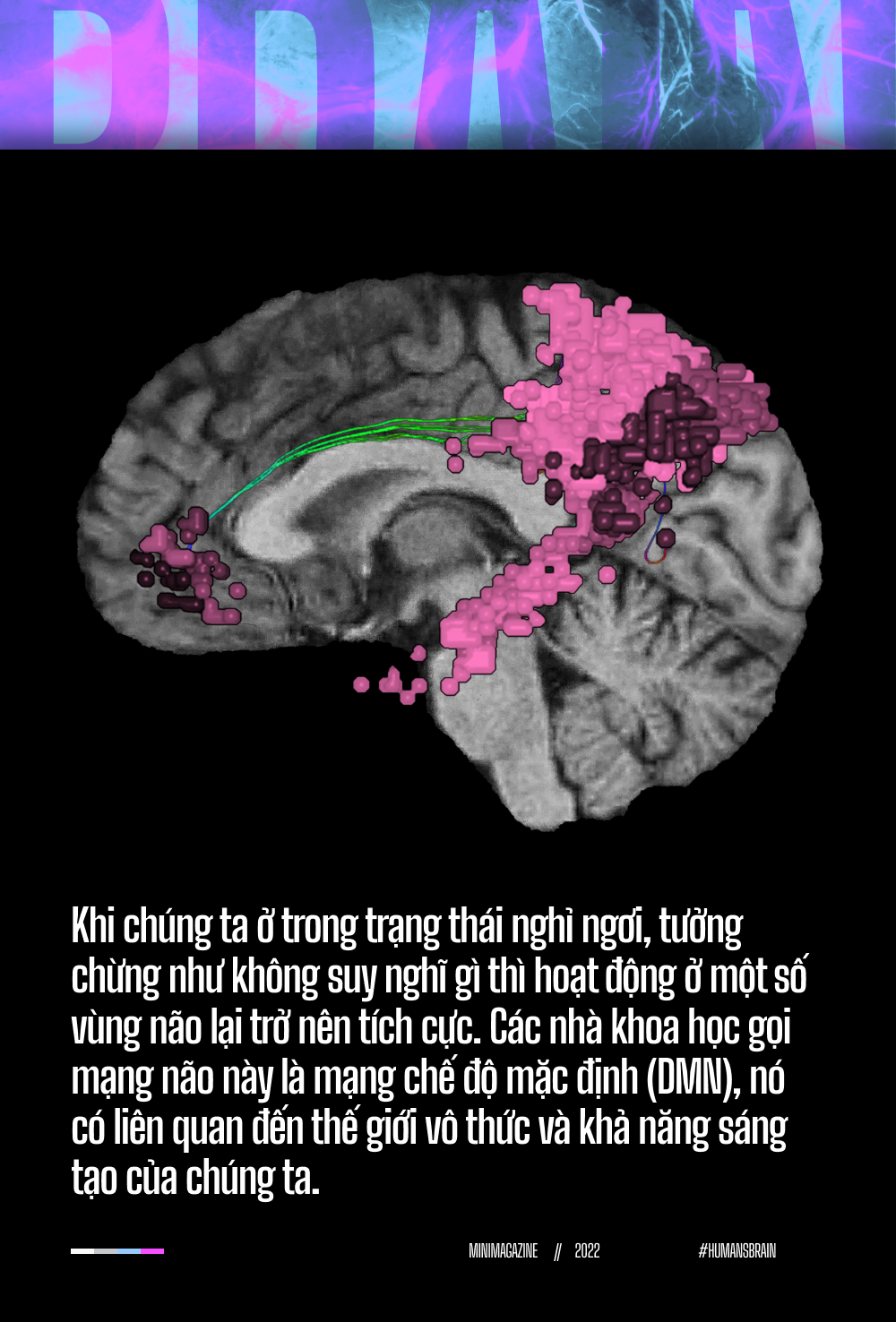 Đi tìm suối nguồn sáng tạo trong não bộ: Tại sao những ý tưởng đột phá luôn xuất hiện khi chúng ta đang tắm? - Ảnh 7.