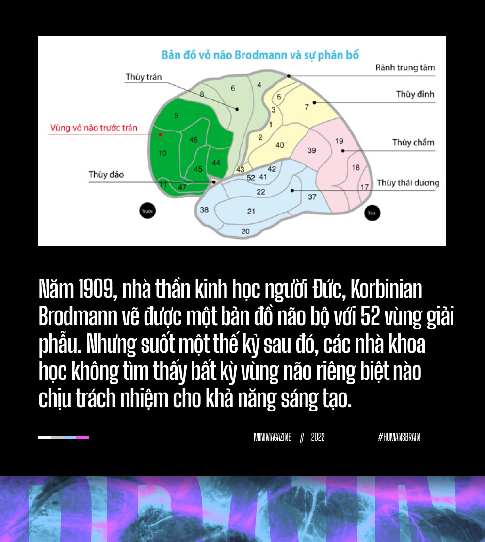 Đi tìm suối nguồn sáng tạo trong não bộ: Tại sao những ý tưởng đột phá luôn xuất hiện khi chúng ta đang tắm? - Ảnh 4.