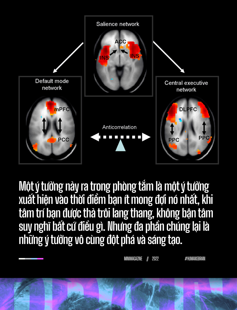 Đi tìm suối nguồn sáng tạo trong não bộ: Tại sao những ý tưởng đột phá luôn xuất hiện khi chúng ta đang tắm? - Ảnh 9.