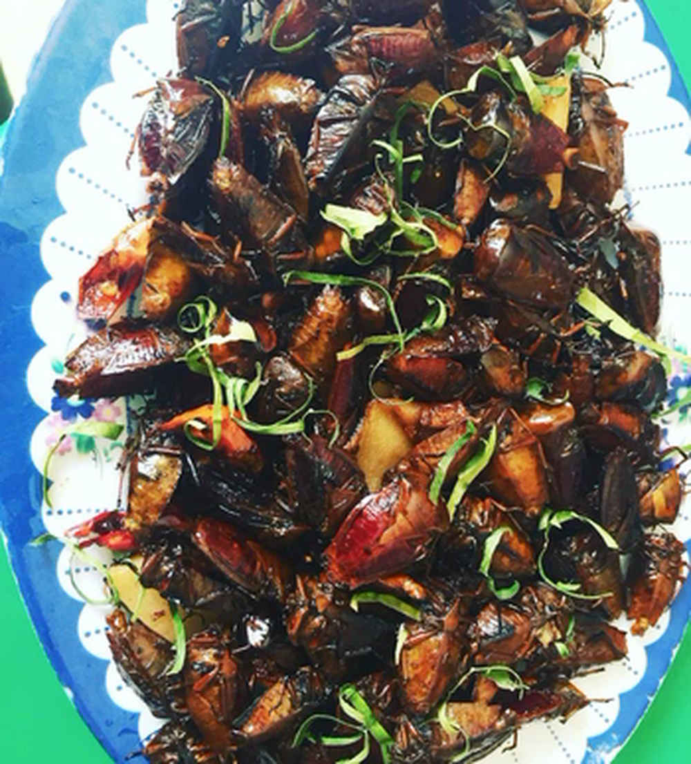 Những loài vật trông kinh dị nhưng lại là “tinh tuý ẩm thực” ở Việt Nam, quê hương H’Hen Niê cũng có 1 món