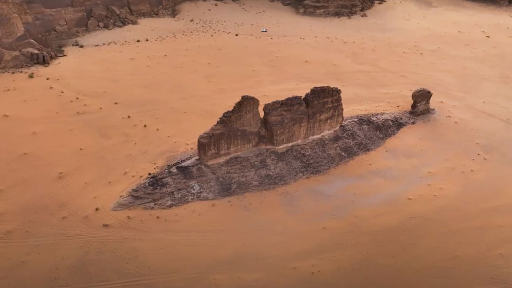 Hòn đá hình con cá khổng lồ xuất hiện trên sa mạc Saudi Arabia - Ảnh 1.