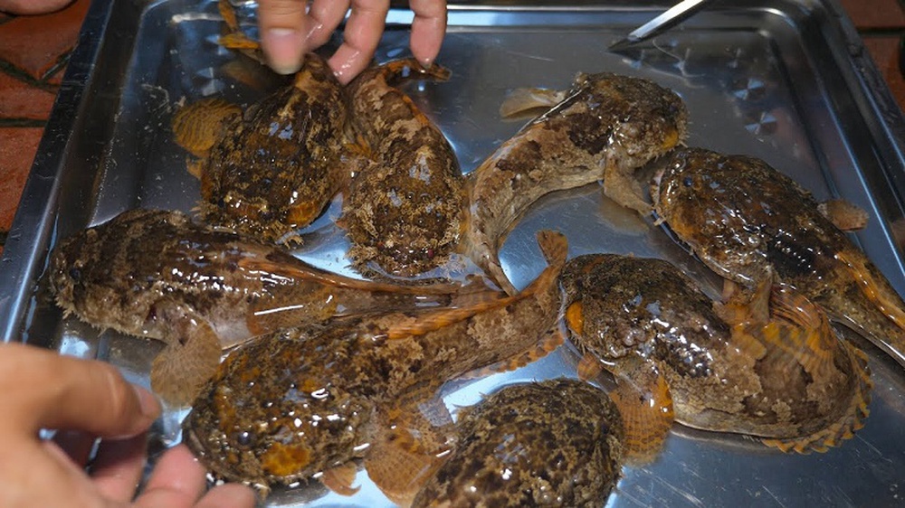 Cá mao ếch hình dáng kỳ lạ vẫn được người dân lùng mua về ăn - Ảnh 3.