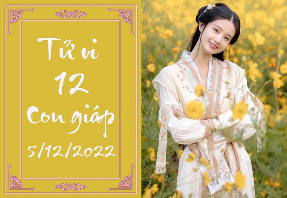 Tử vi 12 con giáp hôm nay thứ Hai ngày 5/12: Tý có hướng mới, Mão bị đố kị - Ảnh 1.