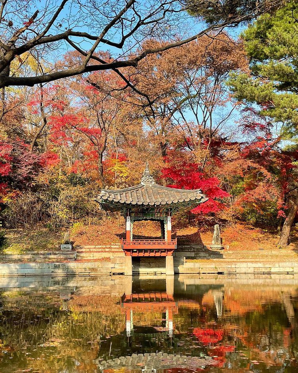 6 địa điểm tận hưởng mùa thu, ngắm lá vàng rơi lãng mạn ở Hàn Quốc - Ảnh 9.
