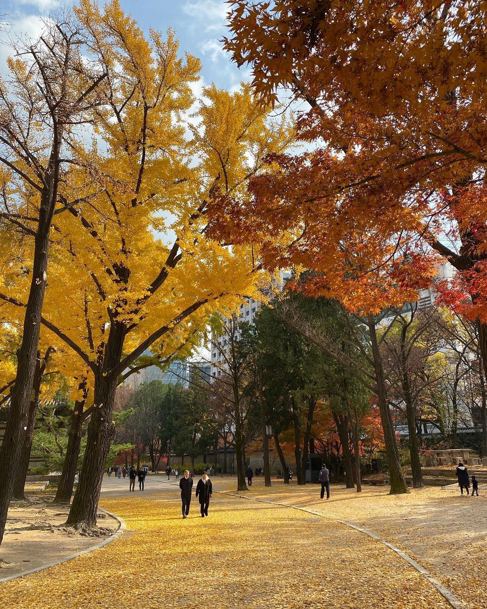 6 địa điểm tận hưởng mùa thu, ngắm lá vàng rơi lãng mạn ở Hàn Quốc - Ảnh 17.
