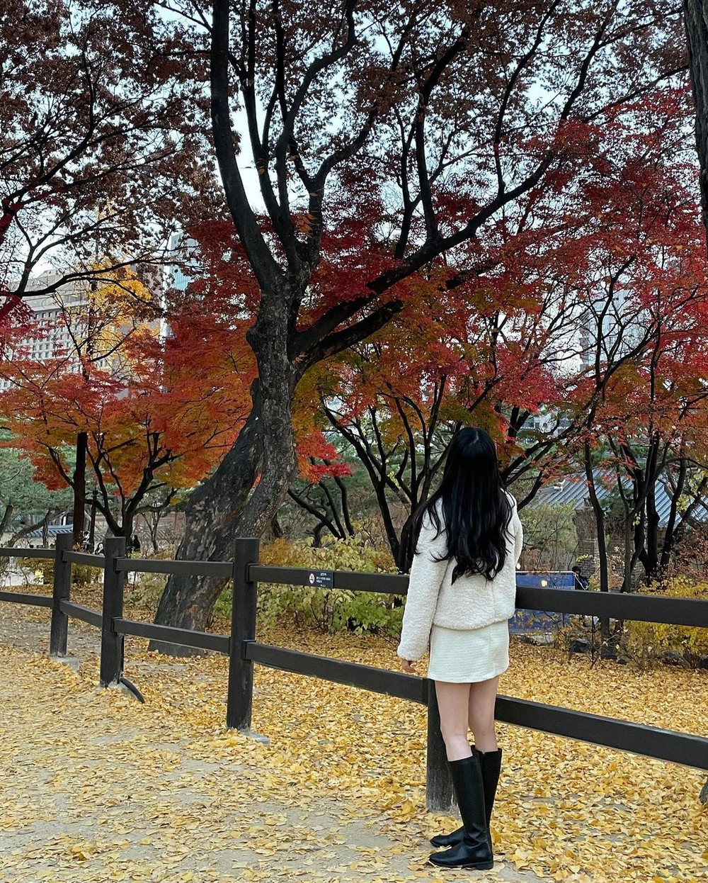 6 địa điểm tận hưởng mùa thu, ngắm lá vàng rơi lãng mạn ở Hàn Quốc - Ảnh 16.