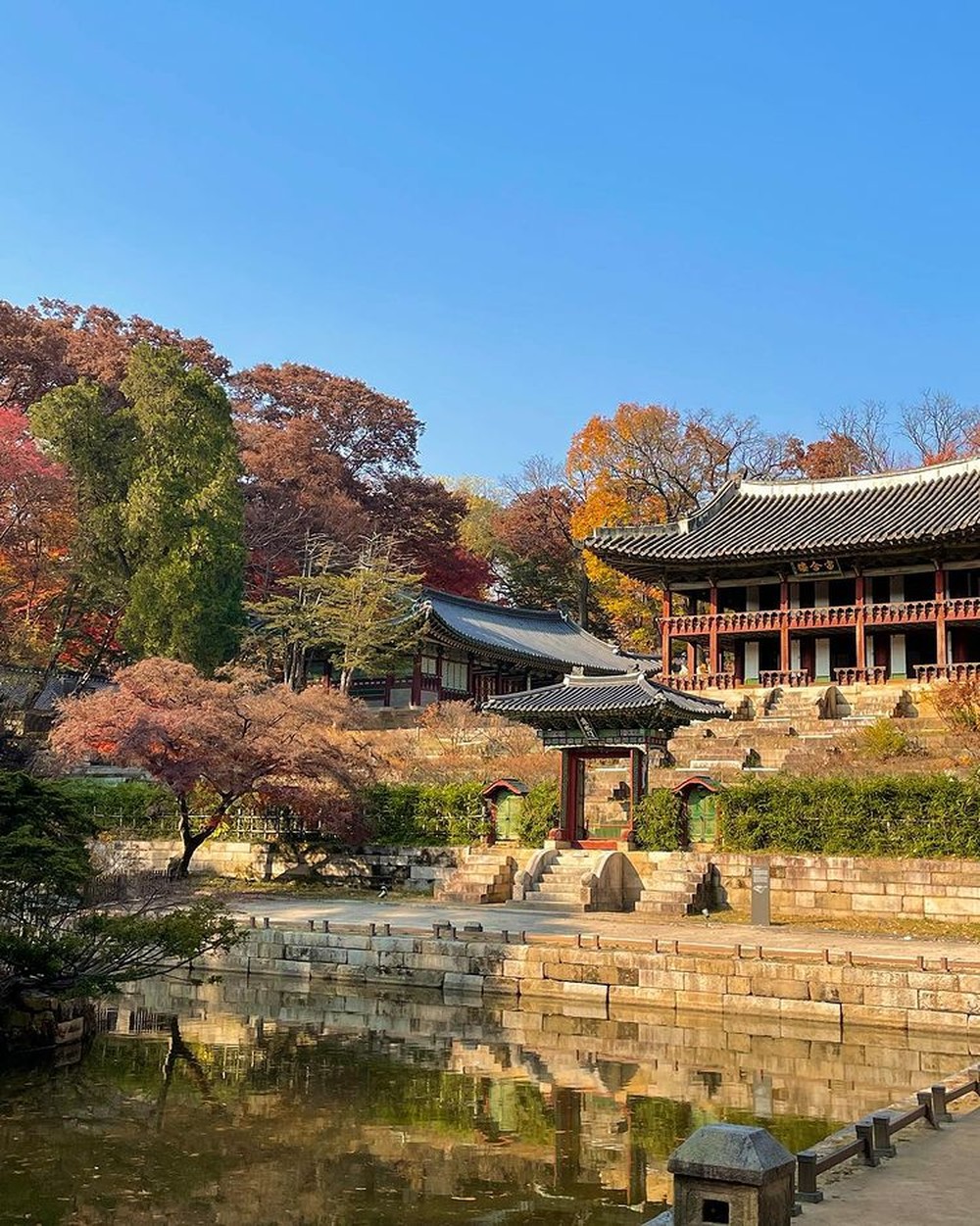 6 địa điểm tận hưởng mùa thu, ngắm lá vàng rơi lãng mạn ở Hàn Quốc - Ảnh 10.