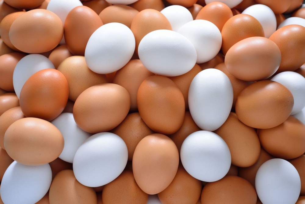 7 quan niệm sai lầm về trứng mà bạn nên tránh - Ảnh 2.