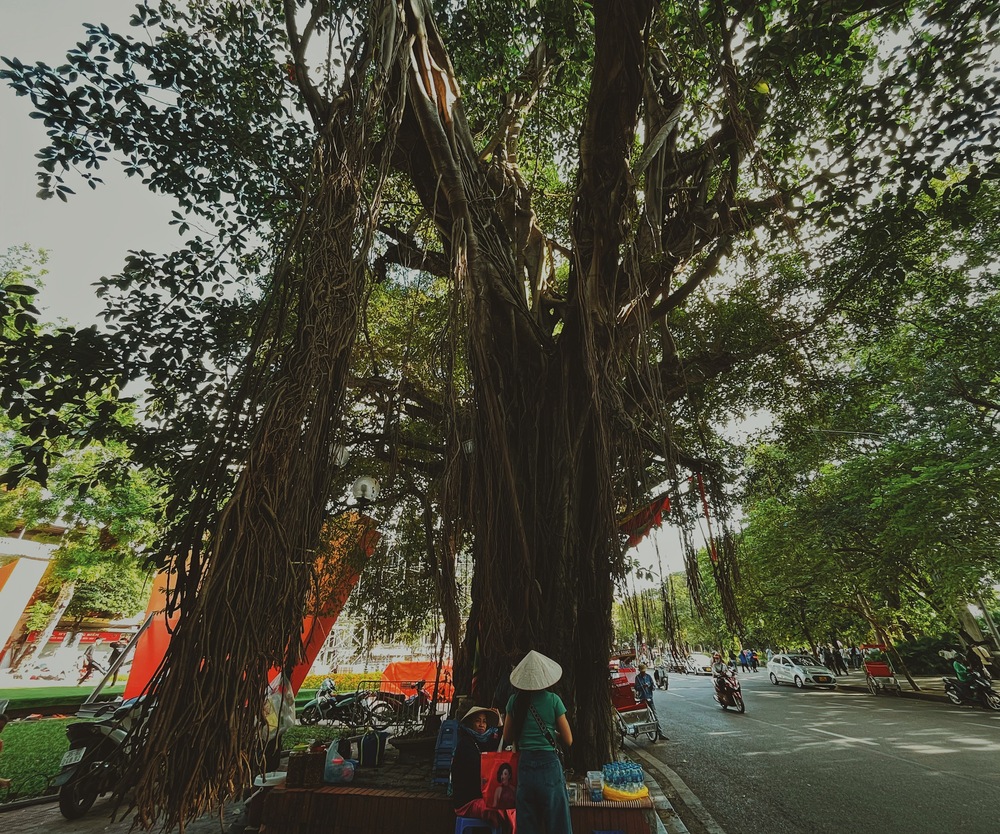 Một ngôi đền nằm ở vị trí đắc địa giữa trung tâm Hà Nội, ngay trong phố đi bộ hồ Gươm nhưng bạn có nhận ra? - Ảnh 12.