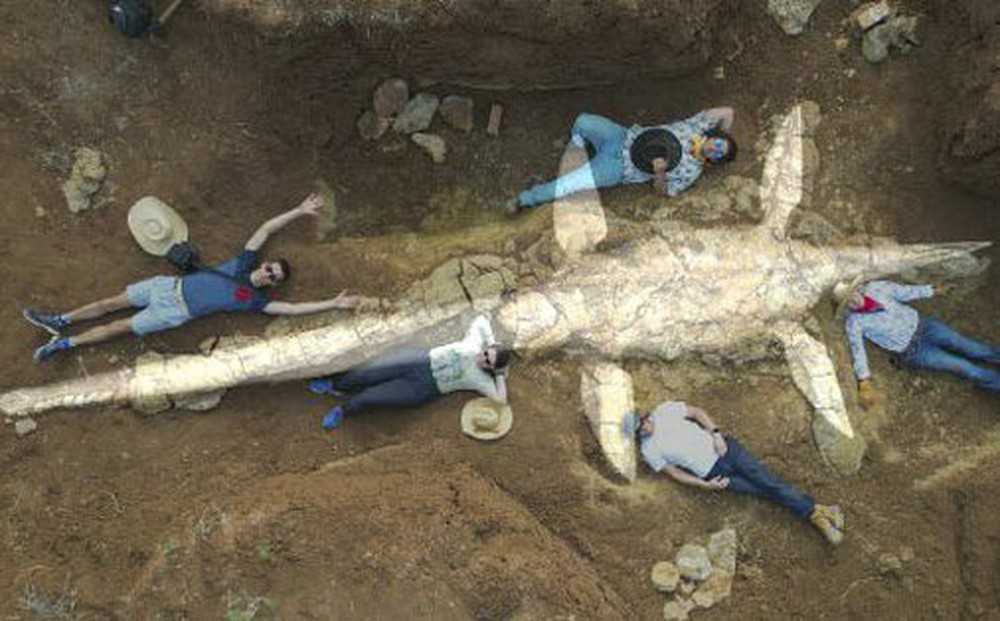 Siêu quái vật đầu rắn dài 10 m, 100 triệu tuổi hiện hình ở Úc